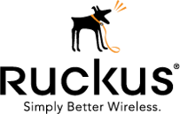 Ruckus wireless